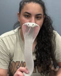 Sprinkle sprinkle✨