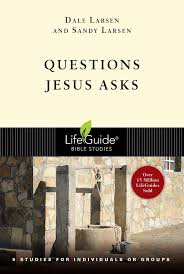 Questions Jesus Asks Lifeguide Bible Studies Paperback January 29 2019 Lifeguide Bible Asks Quest This Or That Questions New Testament Books Jesus