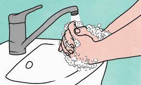 We did not find results for: Bathroom Hygiene How To Ensure You Never Spread E Coli Health The Guardian