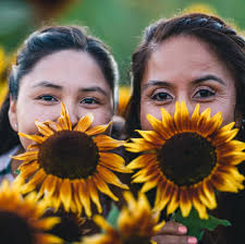 Saanichton Corn Maze (@saanichtoncornmaze) • Instagram photos and videos