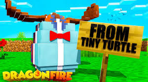 Minecraft dragons mod tiny turtle. Tiny Turtle Minecraft Dragons Mod How To Train Your Dragon Add On