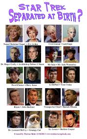 Star Trek Star Trek Funny Grumpy Cat Star Trek Cosplay