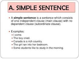 12 Syntax Sentences In 2020 Sentences Simple English Sentences Declarative Sentences