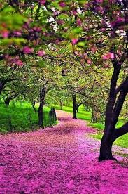 People interested in panorama alam also searched for. Love Spells Psychic Medium Consultant And Voodoo Spells Call Whatssap 27785561683 Email Mamaelon1 Gmail Com Https Www Ma Beautiful Nature Nature Landscape