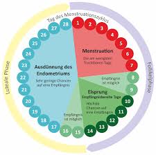 Med foth erklärt den weiblichen zyklus und wann die fruchtbarste phase ist. Was Ist Die Fruchtbare Zeit Kalender Kann Ihnen Helfen