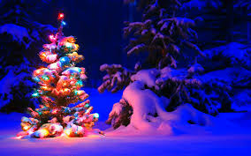 ✓ free for commercial use ✓ high quality images. Christmas Wallpapers Top Free Christmas Backgrounds Wallpaperaccess
