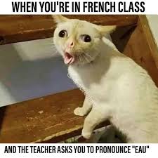 Pin On Cats Memes Cat Quotes
