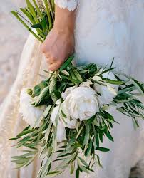 images?q=tbn:ANd9GcT5bnEtumHbOS7dFRWjuC89NFjEzW0pELnrPw&s