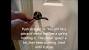 How To Open A Locked Door With A Card