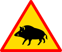 Attention, battue!