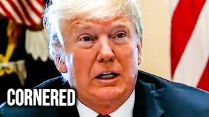 The force is strong with this merch! Head to ShopTYT.com to gear up for the  Rebellion against the Trump Empire. Happy Star Wars Day and May the 4th be  with you! https://go.tyt.com/rebelalliance