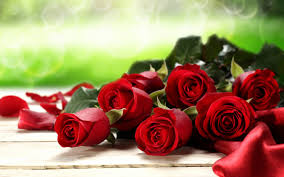 Installieren die tapeten & themen auf ihrem windows pc oder mac laptop / desktop müssen sie einen android emulator herunterladen und installieren, den sie kostenlos. Rose Hintergrunde Fur Desktop Kostenloser Download Rose Flower Wallpaper Fur Handy 1920x1200 Wallpapertip