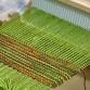 Rigid Heddle Study Group event image