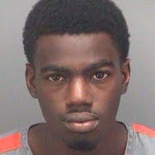 Two tax fraud sentences in two days earns Tampa man 14 years