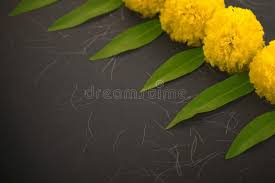 Dashera Festival Apta Leaf With Flower Rangoli Stock Photos Flower Rangoli Rose Petals Red Rose Petals