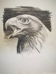 images?q=tbn:ANd9GcT5c2JeRGkBMnf6-ot7klA