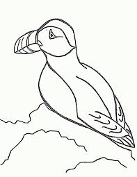 Dover publications is the publisher for the popular creative haven coloring books for adults. Puffin Coloring Pages Coloring Home