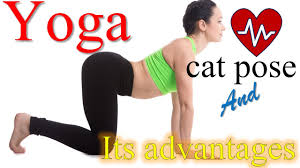 Cat pose to cow pose. How To Do Cat Pose Marjaryasana Benefits Cat Cow Pose Yoga Best Asana Youtube