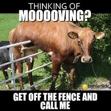 Time To Get Mooving Real Estate Ads Real Estate Humor Real Estate Quotes