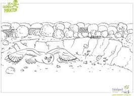 Deckblatt englisch zum ausmalen / finde tausende kostenlose ausmalbilder und malvorlagen zum ausdrucken auf ausmalbilder.org!. Ausmalbilder Sudpol Verlag
