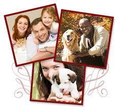 See more of family pet animal hospital on facebook. Mckillip Animal Hospital Lakeview Chicago Veterinary Care Chicago Il