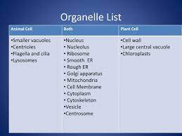Ppt Cell Structure Part 2 Eukaryotic Cells Animal Cells Vs Plant Cells Powerpoint Presentation Id 2427118