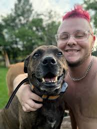 Rehoming two dogs in Ohio