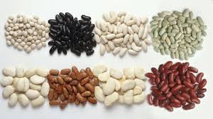 La Faim Des Haricots Haricot Coco De Paimpol Alimentation