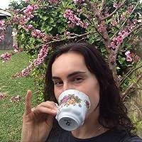 The Secret Stealer by Jess Webster