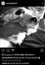 hadise den sevgilisine bir sen bir ben bir de magazin haberleri sevgililer fotograf iliskiler