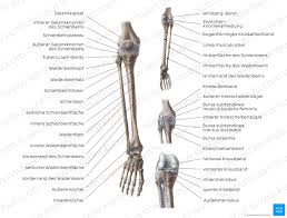 Although a medial malleolus fracture can be a serious injury, the outlook for recovery is good, and complications are rare. Fibula Wadenbein Anatomie Aufbau Gelenke Und Bander Kenhub