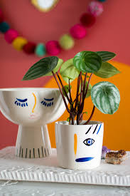 Check spelling or type a new query. Plant O Pedia Watermelon Peperomia Justina Blakeney
