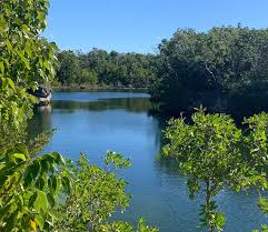 Dagny johnson key largo amaca botanical state park si trova appena fuori la overseas highway su una strada che gira a destra con il parcheggio a breve distanza in anticipo. G Rve9ozxhhzom