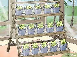 Maybe you would like to learn more about one of these? How To Design A Successful Indoor Garden 13 Steps With Pictures