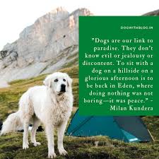 If i leave the game in windowed mode it. Dogs Are Our Link To Paradise They Don T Know Evil Or Jealousy Or Discontent To Sit With A Dog On A Hillside On A Glorious Afternoon Is To Be Back In Eden