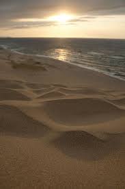sand and sun sand beach life beach