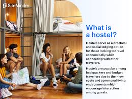What is a hostel? The comprehensive beginner's guide | SiteMinder