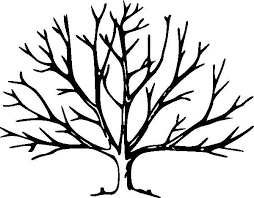 Drawing A Tree Without Leaves Kids Drawing Coloring Page Tree Outline Tree Painting Tree Coloring Page