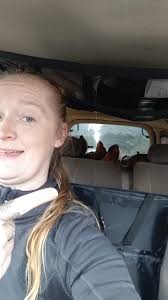 Anyone cut trees for free firewood?