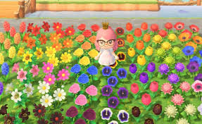 Get the latest updates on nasa missions, watch nasa tv live, and learn about our quest to reveal the unknown and benefit all humankind. Flower Cloning Is Open For Business In Animal Crossing New Horizons Mypotatogames