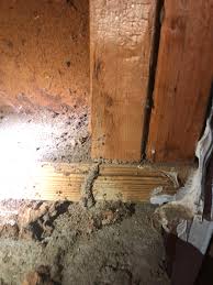Welcome to piper pest control inc! Bug Guys Pest Control 7614 Partridge Cir Sanford Nc 27332 Yp Com