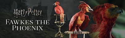 'she was transferred to st. Amazon Com Fawkes The Phoenix Toys Games