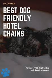 9 Best Dog Friendly Hotel Chains In 2019 Doggowner Doglist Doghotels Dogs Dog Friendly Hotels Dog Friends Best Dogs