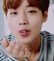 For everything you have given us fans, your. Prettywordsyouleft Different Kisses With Park Jihoon