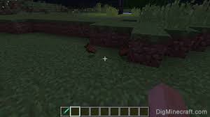 How Long Until Items Despawn In Minecraft? - Playbite