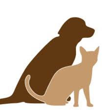 Check spelling or type a new query. For Pets Sake