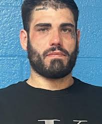 HCSO arrests man for possession of 'shrooms'