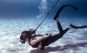 Amazon Com Blu3 Nemo Nemo Dive System Alpha Dive Flag Sports Outdoors