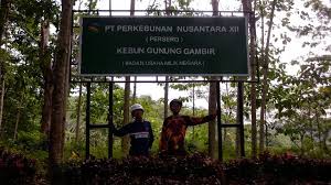 © 2020 kementerian pendidikan malaysia (kpm). Perkebunan Teh Gunung Gambir Backpacker Jakarta