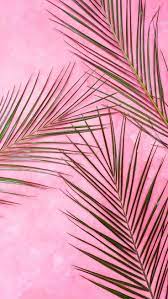 10 Super Pretty Iphone X Wallpapers Iphone Pretty Super Wallpapers Julika Fondos Iphone J Preppy Wallpaper Pink Wallpaper Iphone Pretty Wallpapers